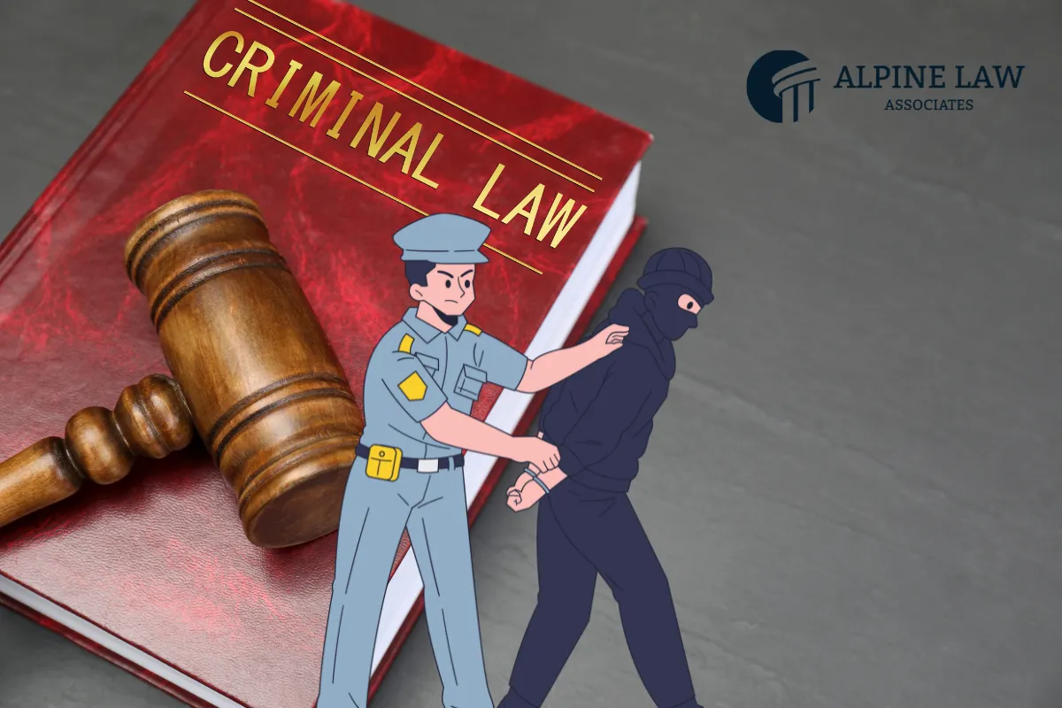 Criminal Law in Nepal — Penal Code, FIR, Bail & Trial