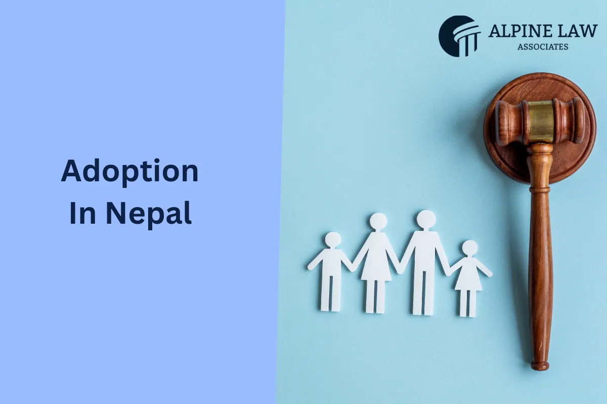 Adoption in Nepal — Domestic, NRN & Inter-Country Adoption Services