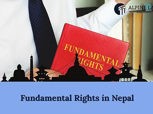 Fundamental Rights in Nepal (2026): Constitution 2072 Guide